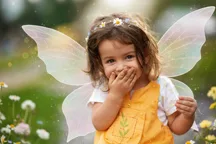 Fairy